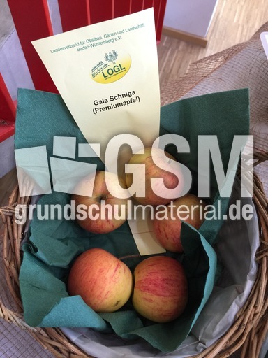 Gala Schniga.jpg